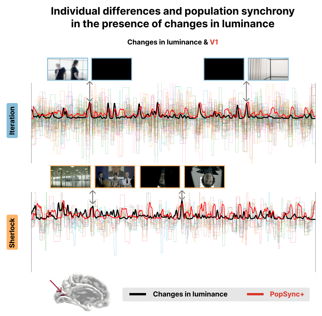 Time series of the estimated activity-inducing signal for each
subject in V1 for the Iteration (top) and Sherlock (bottom)
datasets. The black lines represent the changes in luminance in the movie. The
red lines represent the PopSync+, i.e., the sum across subjects of the
activity-inducing signal that evokes a positive BOLD response in each parcel.
Representative instances of the movies and their changes in luminance and
PopSync+ TRs are shown for both datasets.